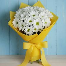 Букет цветов из:  Хризантемы в Бураево