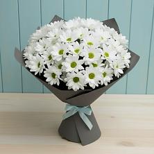 Букет цветов из:  Хризантемы в Бураево