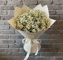 Букет цветов из:  Ромашки #REPLACE_PRED# Бураево