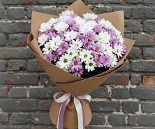 Букет цветов из:  Хризантемы #REPLACE_PRED# Бураево