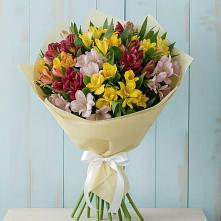 Букет цветов из:  Альстромерии в Бураево