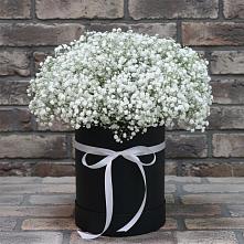 Цветочная композиция из Гипсофила в шляпной коробке в Бураево