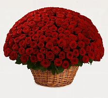 Премиум букет из: Розы в Бураево