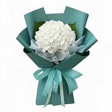 Букет цветов из:  Гортензия в Бураево
